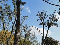 -上海野生动物园