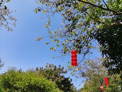 -玉树公园