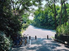 -西湖风景区-江洋畈生态公园