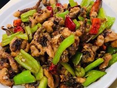 干煸鱿鱼-满口香饭店