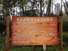 -重庆彩云湖湿地公园