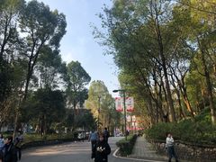 -四川美术学院美术馆