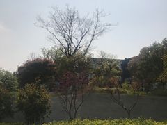 -苏州清山会议中心