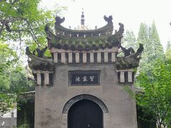 -习家池