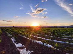 -敕勒川草原文化旅游区