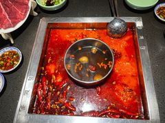 -蜀江龙火锅(339店)