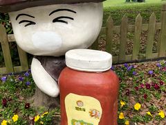 -上海都市菜园