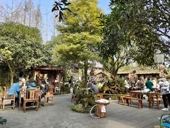 -青城甲(青城山店)