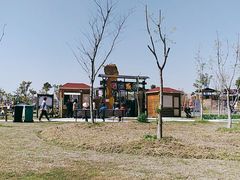 -上海长兴岛郊野公园