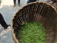 -十八棵（老龙井）御茶园(老龙井店)
