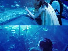 -太平洋海底世界