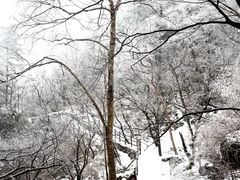 -洛阳白云山景区