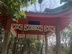 -菊花台公园