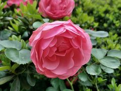 -重庆雨台山风景区