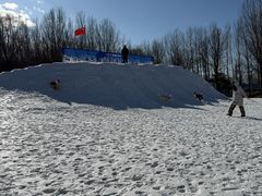 -宠乐会宠物乐园