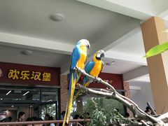 -宁波野生动物园