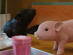 -WHEN PIGS FLY当猪飞