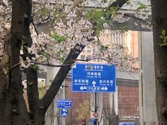 -南浦大桥长途旅游客运站
