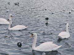 -海德公园