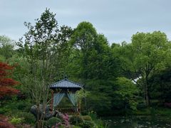 -龙井草堂