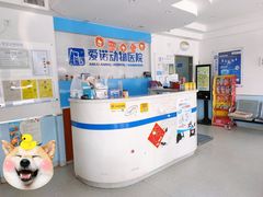-爱诺动物医院(崂山店)