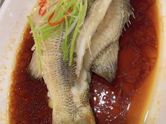 -津悦·正阳春烤鸭(红旗南路店)