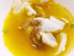 东星斑鱼-高老庄新家宴(北斗星广场店)