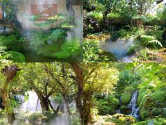 -Chom Cafe and Restaurant