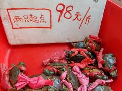 -不炭白烧烤(成都首店)