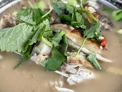 -焦滩大树下鱼头馆(焦滩店)