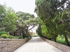 -八大关景区