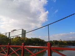 -上海市第一人民医院(松江南部)