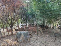 -观唐（国际）度假村温泉