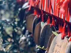 -丽江玉水寨