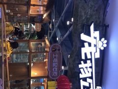 -龟与熊猫宠物公园(南坪店)