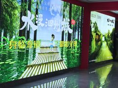 -泗洪洪泽湖湿地景区