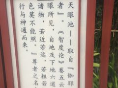 -韶关经律论国际酒店温泉