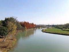 -乌村