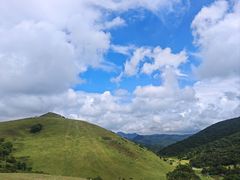 -大姆山草场