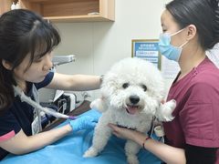 -美联众合动物医院·24h京西诊疗中心