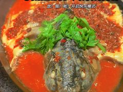 -陶德砂锅(蜀汉路店)