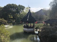 -上海醉白池公园