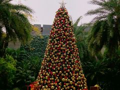 -广州富力丽思卡尔顿酒店