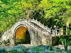 -牛背梁国家森林公园