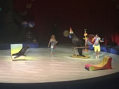 -珠海横琴长隆《卡卡虎奇遇记》