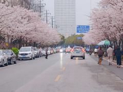 -永乐路-路侧停车场