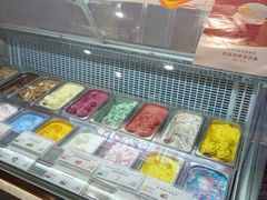 -iceason爱茜茜里·意大利健康冰淇淋(骑龙巷店)
