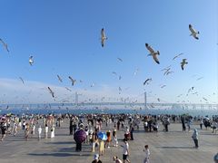 -星海广场
