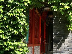 -兴教寺