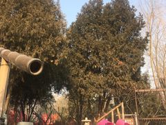 -南宫温泉水世界